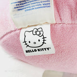 打造一只小熊 Hello Kitty 三丽鸥夏季毛绒泳衣连衣裙 2023 年